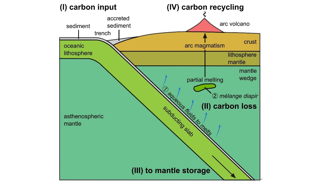 破解深部碳循環謎題：俯沖帶流體中或并不存在“碳-...